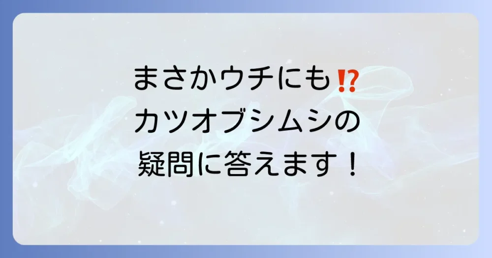 カツオブシムシの幼虫に関するよくある質問