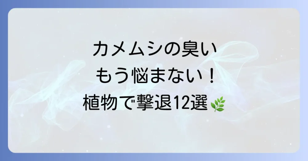 カメムシが嫌いな植物12選！庭やベランダで育てて、あの嫌な臭いとサヨナラ
