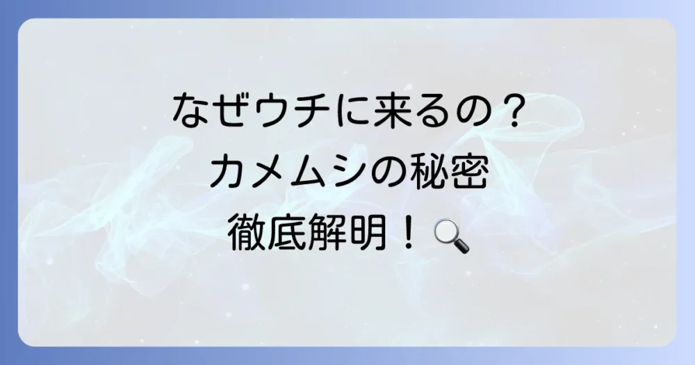 カメムシ対策の基本!まずは敵を知ることから