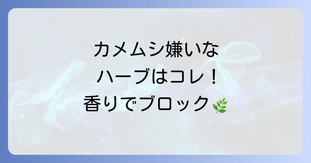 カメムシが嫌いな植物【ハーブ編】