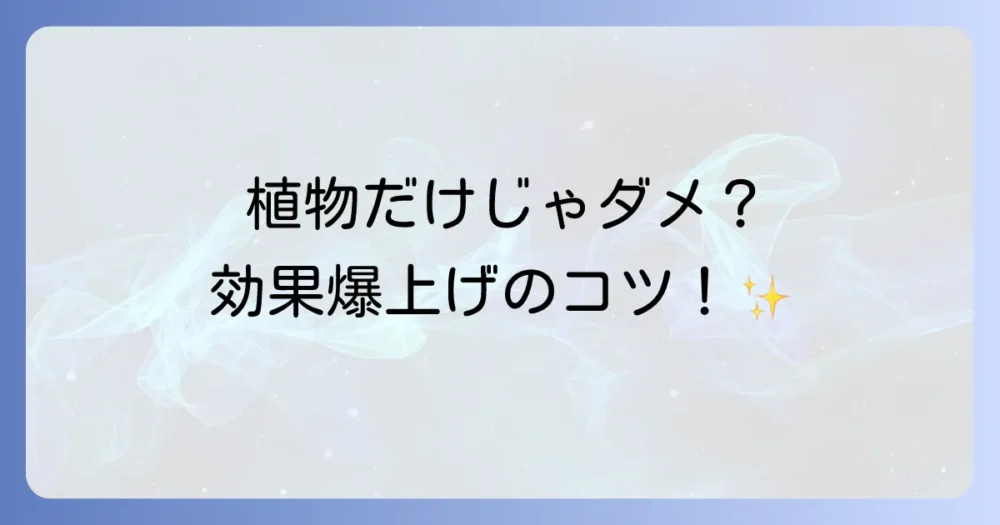 植物を置くだけでOK?効果を高める使い方