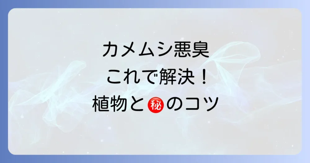 植物対策と併用したい!カメムシを徹底的にブロックする方法