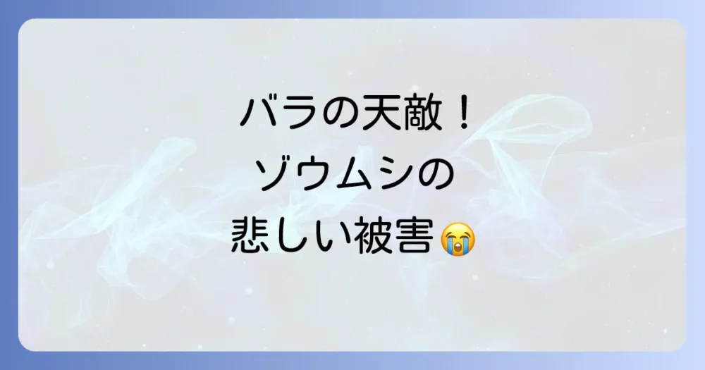 バラの天敵!ゾウムシの被害と生態