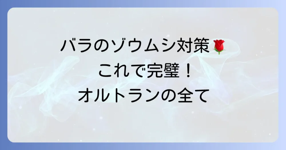 まとめ