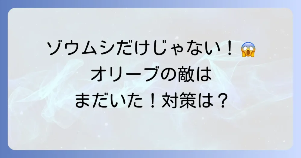 ゾウムシだけじゃない!オリーブの主な害虫と対策