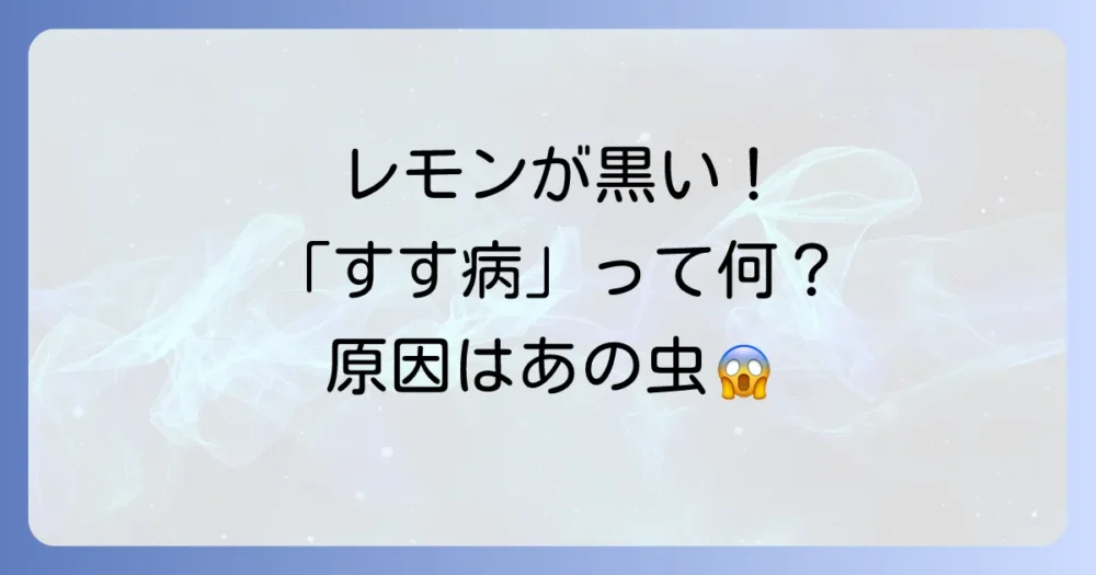 【原因は虫!】葉や枝が黒いすすで汚れる「すす病」とは?