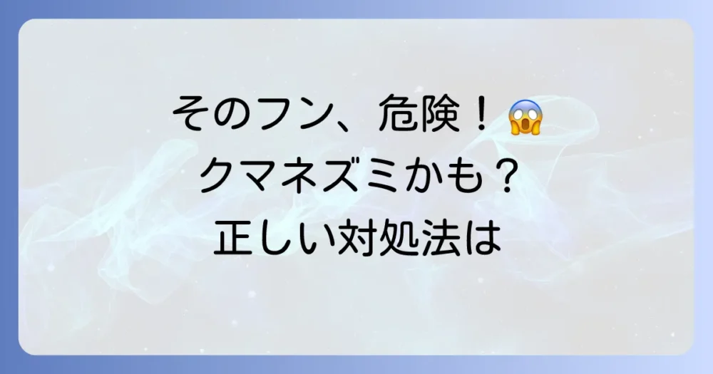 クマネズミのフンは危険信号！特徴・見分け方から正しい掃除方法、駆除対策まで徹底解説