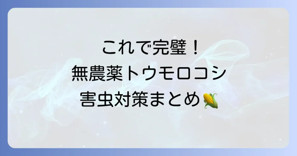 まとめ