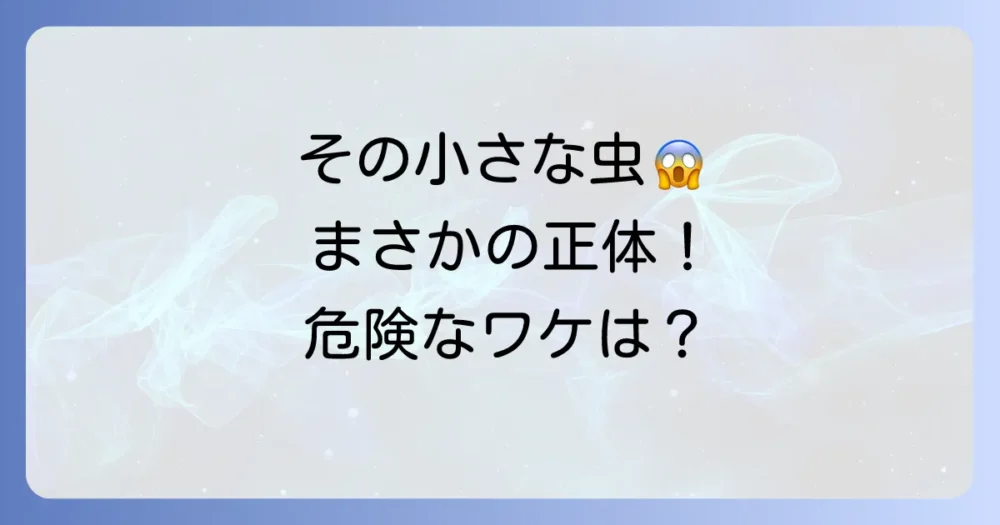 まずは敵を知ろう!神出鬼没なシバンムシの正体とは?