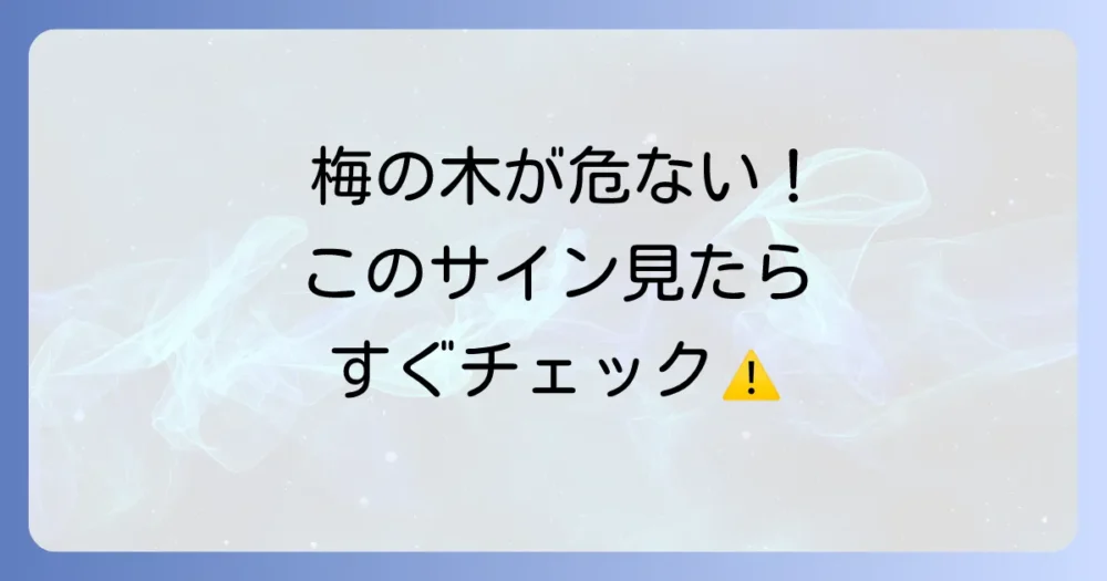大切な梅の木が危ない!こんな症状はありませんか?害虫被害のサイン