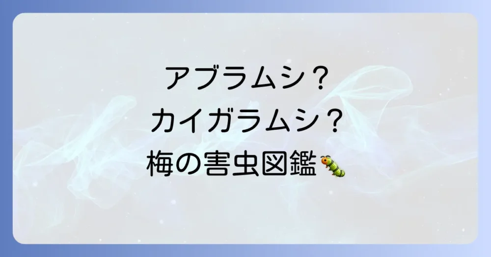 【写真で解説】梅の木につく代表的な害虫と被害症状