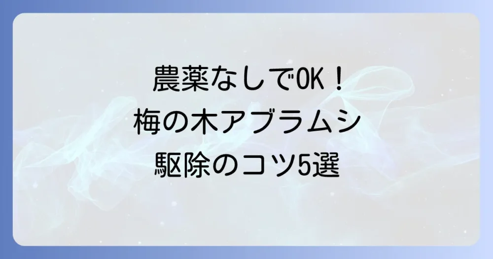 【緊急対策】今すぐできる!梅の木のアブラムシ駆除方法5選