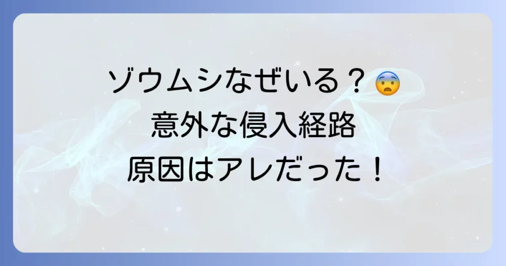 なぜ家の中に?ゾウムシの侵入経路と発生原因