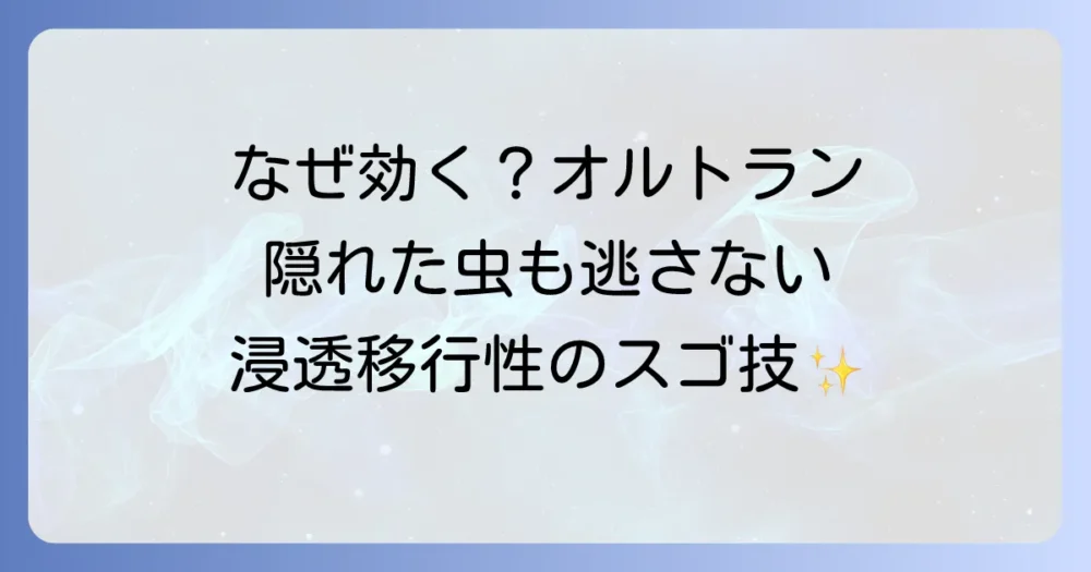 オルトランがカイガラムシに効くのは「浸透移行性」だから
