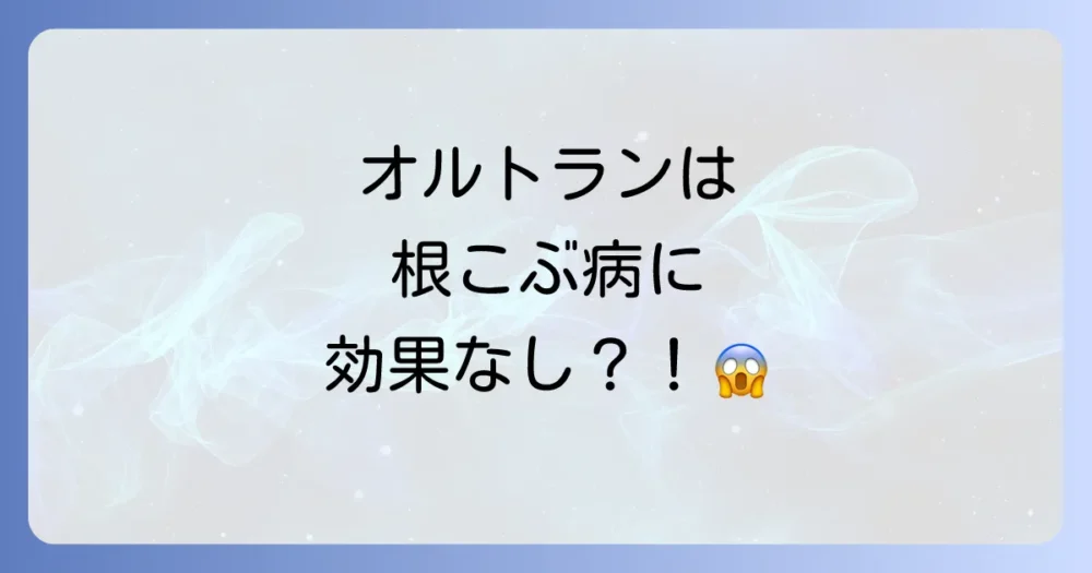 【結論】オルトランは根こぶ病に効果なし!その理由とは