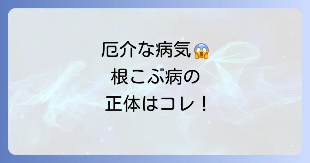 厄介な土壌病害「根こぶ病」の正体とは?