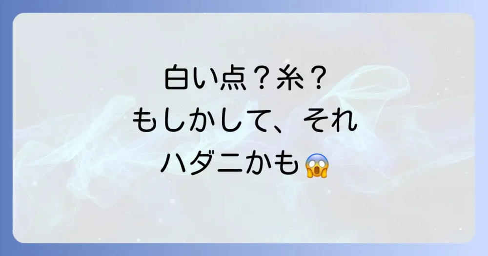 もしかしてハダニ?ガジュマルが出す危険サイン