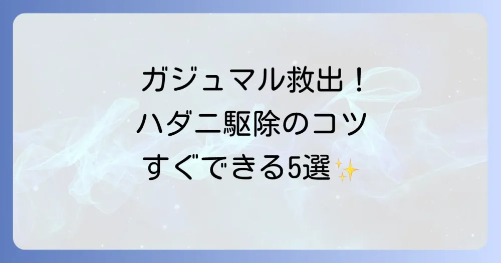 【今すぐできる】ガジュマルのハダニ駆除方法5選