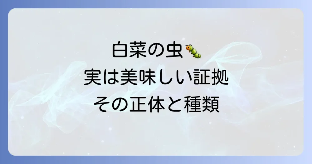 白菜を襲う!小さい虫の正体と種類