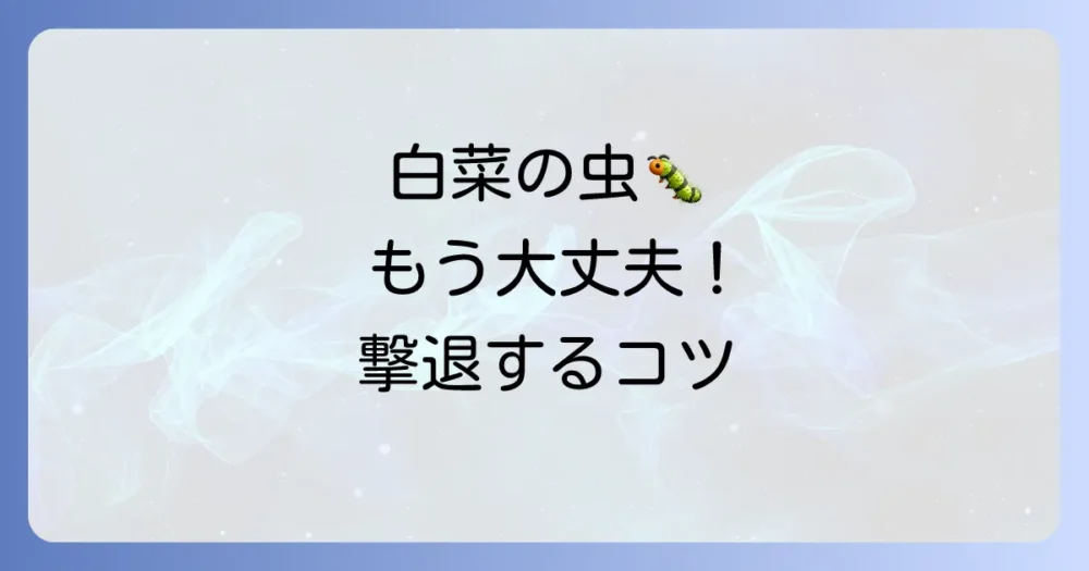気持ち悪い虫を撃退!白菜の正しい洗い方