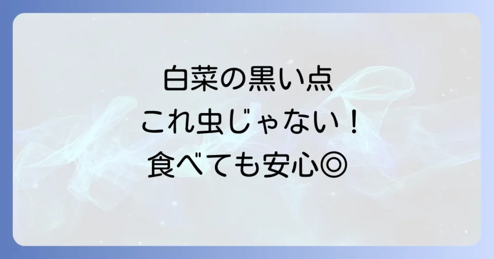 それ、本当に虫?白菜の黒い点の正体は「ゴマ症」