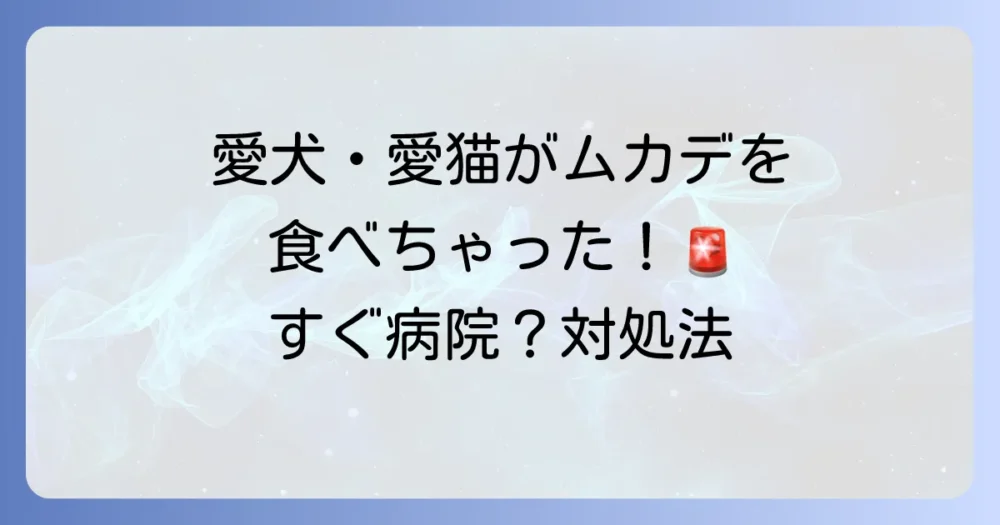 ペットがムカデを食べても大丈夫?犬・猫の危険性と対処法