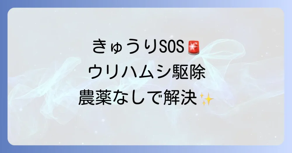 きゅうりの害虫ウリハムシの駆除方法｜農薬を使わない対策から予防まで完全解説
