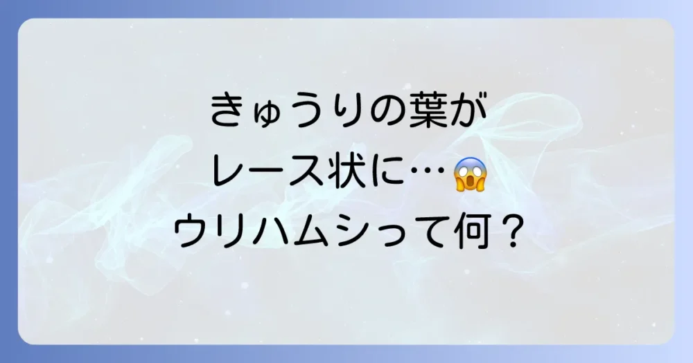 まずは敵を知ろう!きゅうりの大敵「ウリハムシ」とは?