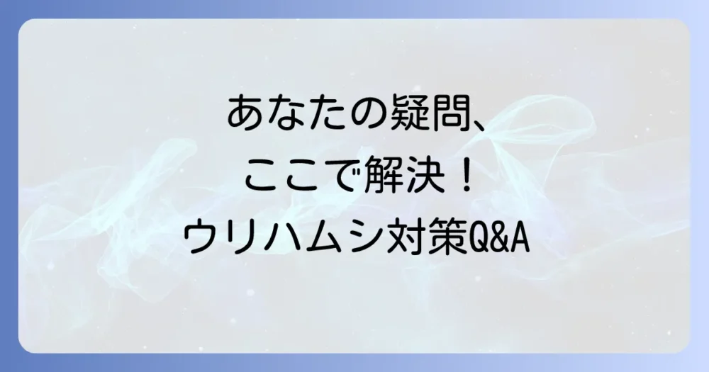 よくある質問