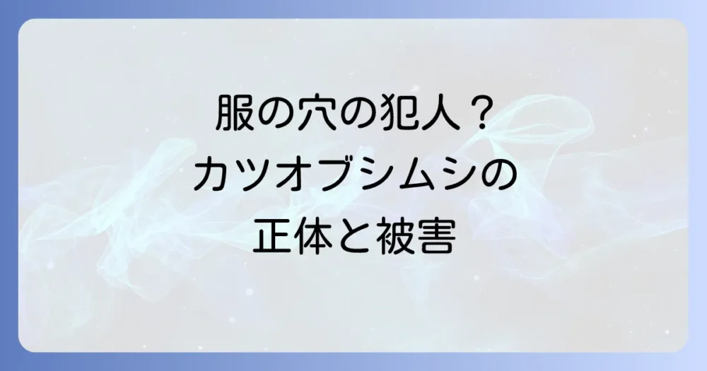 そもそもカツオブシムシってどんな虫?生態と被害