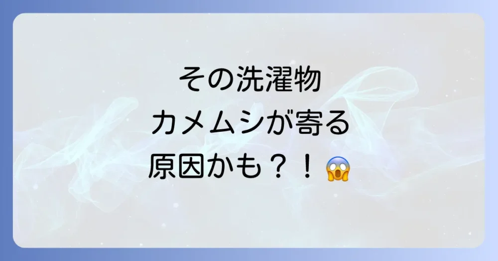 まず知っておきたい！カメムシはなぜあなたの家に寄ってくるのか？