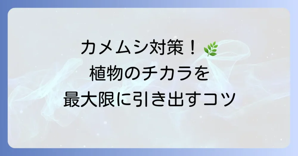効果を最大化する！カメムシが嫌いな植物の上手な使い方と育て方のコツ