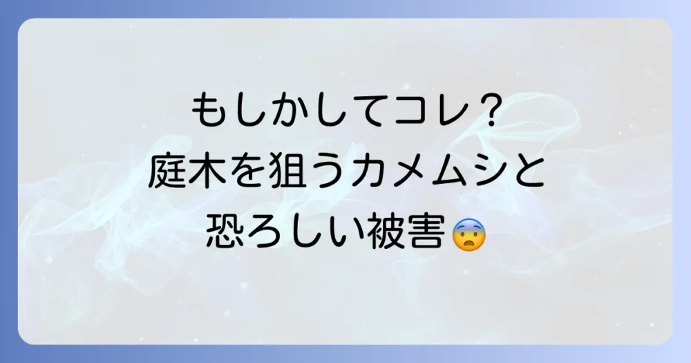 要注意!庭木につきやすいカメムシの種類と被害