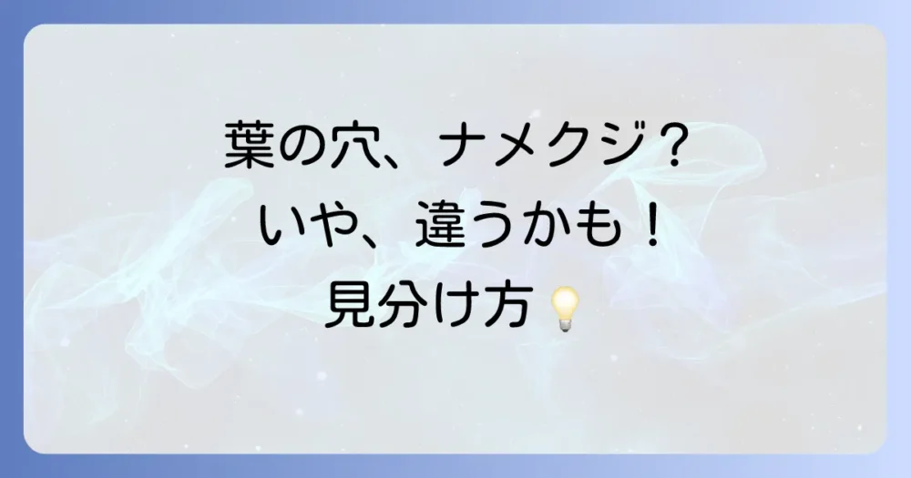 その葉の穴、本当にナメクジ?他の害虫との見分け方