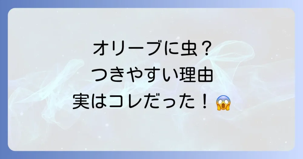 オリーブの木に虫がつきやすいって本当?その原因とは