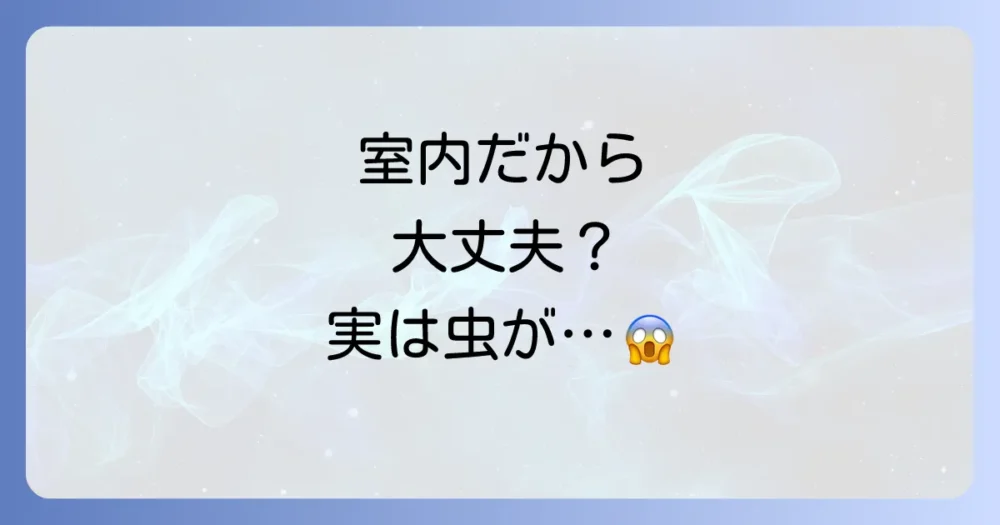 室内で育てるオリーブの木も虫はつく?