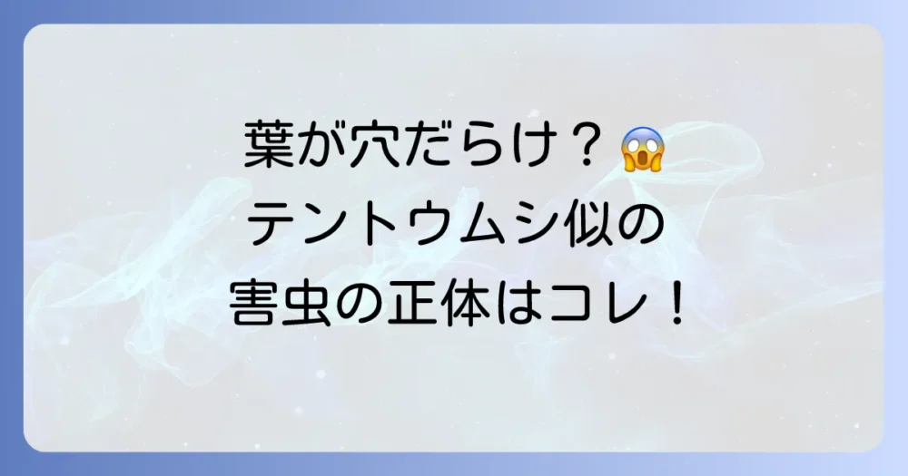 ヘリグロテントウノミハムシとは?その生態と被害の正体