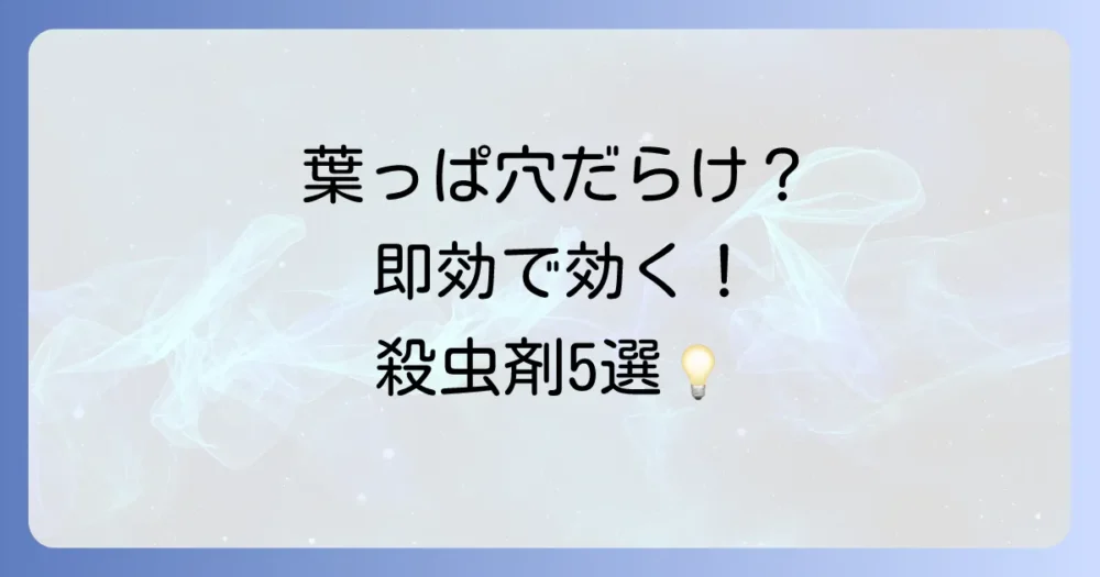 【即効性重視】ヘリグロテントウノミハムシに効く!おすすめ殺虫剤5選
