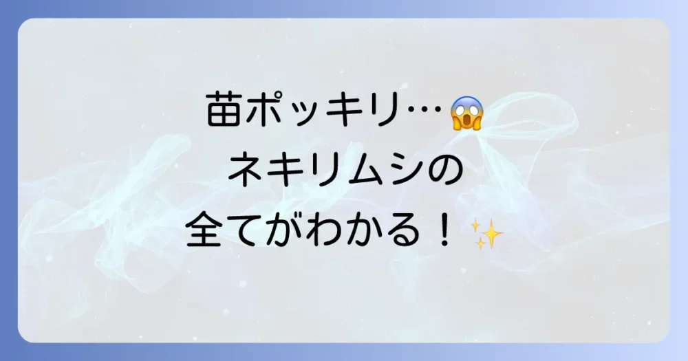 まとめ