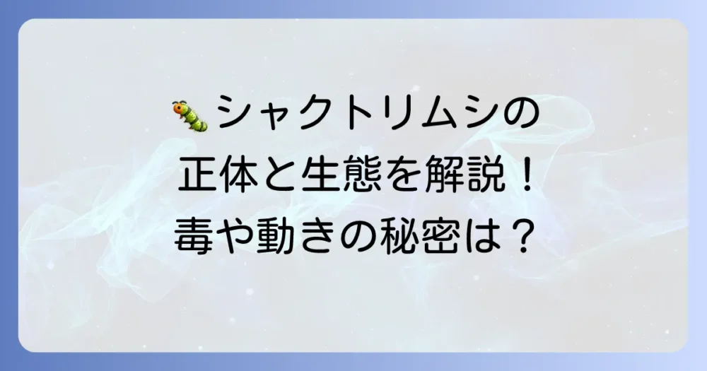 まずは敵を知ろう!シャクトリムシの正体と生態