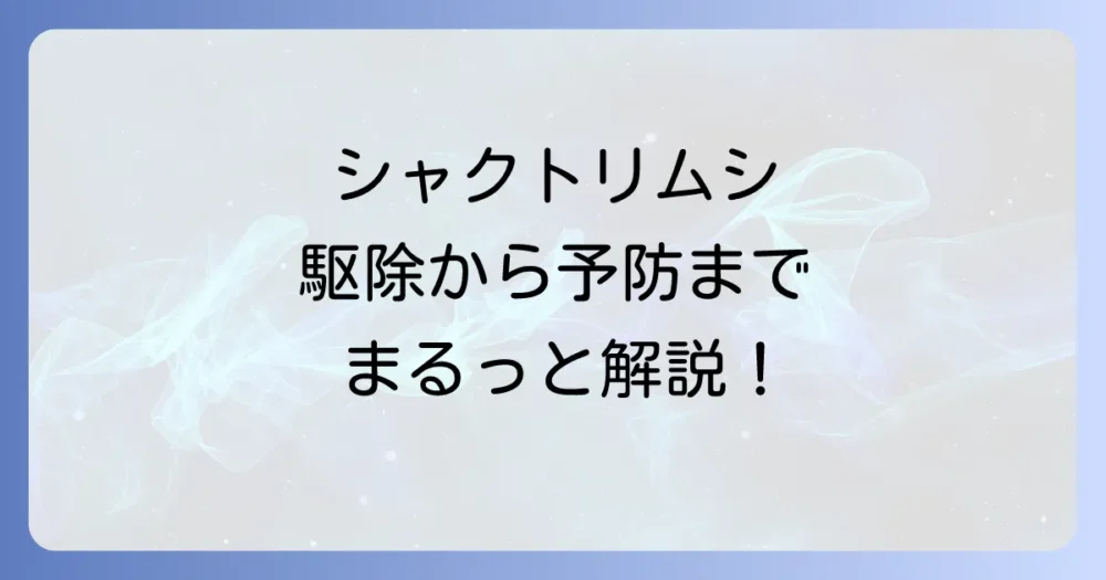まとめ