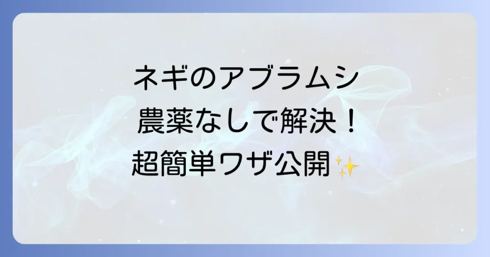 農薬を使わない！ネギのアブラムシ駆除・予防法