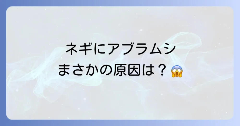 ネギにアブラムシが発生する原因