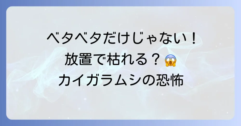 放置は危険!カイガラムシがゴムの木に与える深刻な被害
