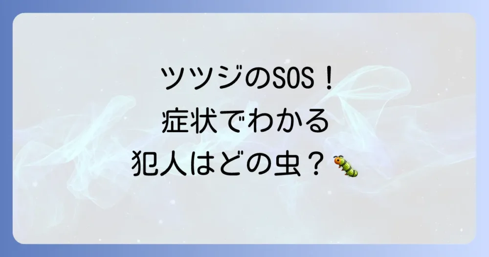 まずは症状でチェック!あなたのツツジを食べている虫はどれ?