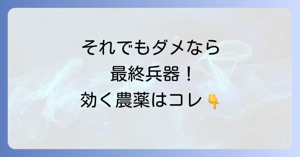 それでもダメなら…コナカイガラムシに効く殺虫剤(農薬)