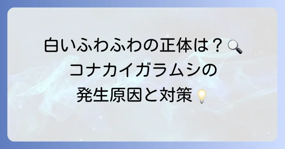 コナカイガラムシの正体とは?生態と発生原因を知って対策しよう