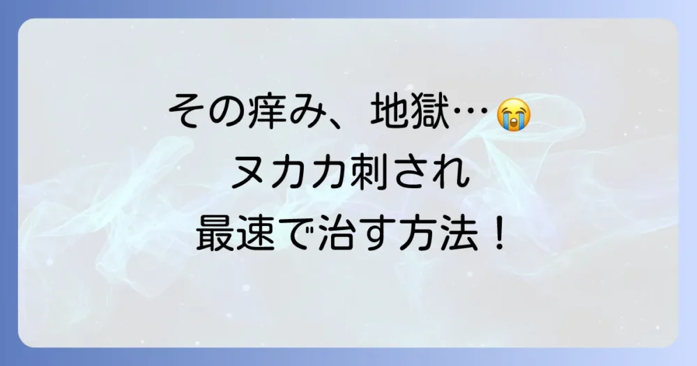 もし刺されてしまったら?痒みを抑える正しい対処法