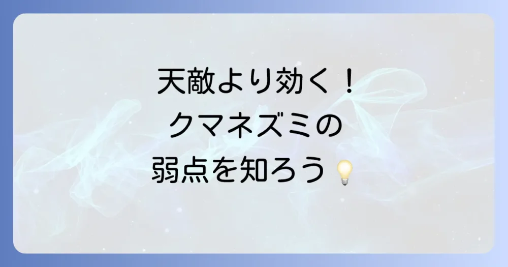 天敵より効果的!クマネズミの弱点を知って対策しよう