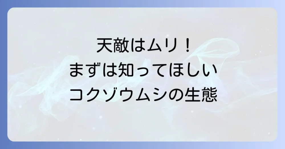 天敵に頼る前に!知っておきたいコクゾウムシの生態
